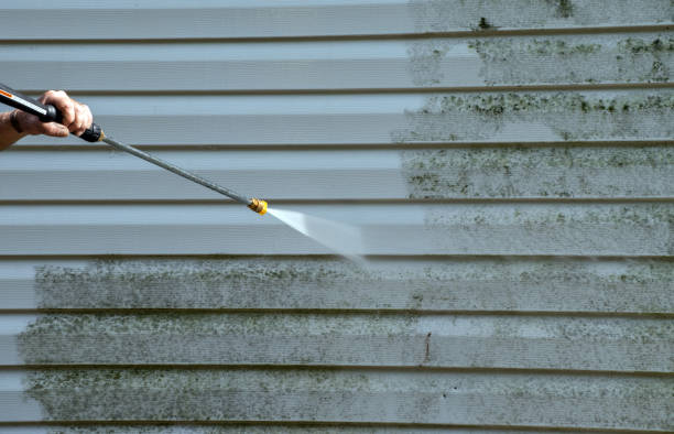 Best Soft Washing for Delicate Surfaces in Norman Park, GA