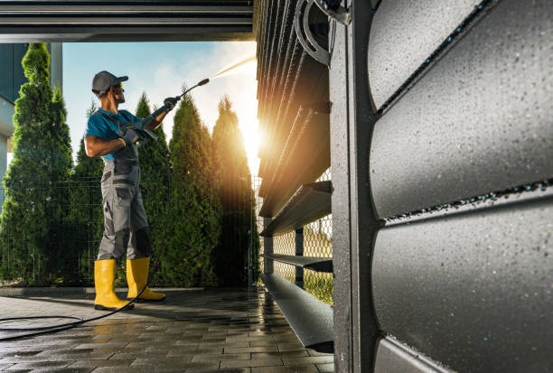 Best Driveway Cleaning and Restoration in Norman Park, GA