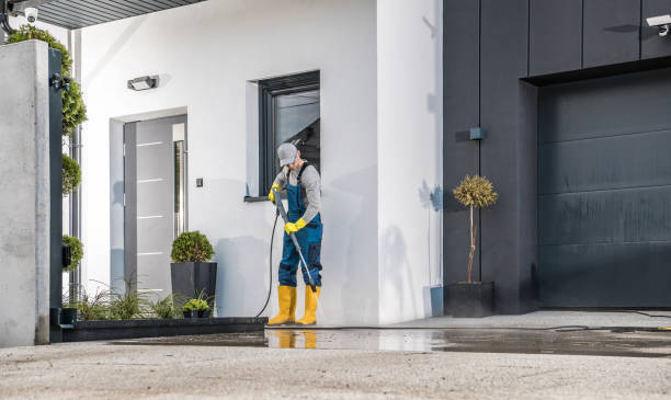 Best Gutter Cleaning and Brightening in Norman Park, GA
